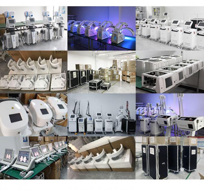 da pele facial da máquina -20c Cryotherapy Zimmer de 800w Cryotherapy máquina refrigerando 14