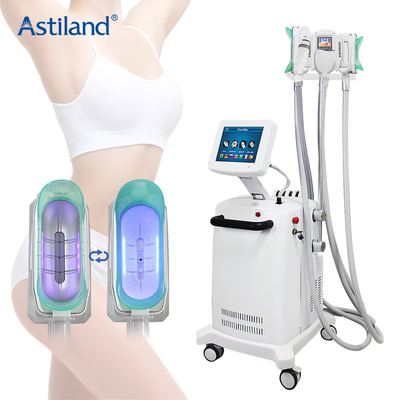 Cavitação 4 de Cryo Lipolaser RF da máquina de Cryolipolysis em 1 sistema gordo do congelador para o emagrecimento do corpo