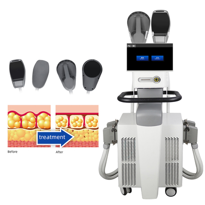 Máquina magro do corpo do EMS para a remoção gorda e corpo magro a tecnologia combinada do RF