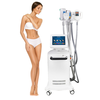 Máquina gorda da remoção de Cryolipolysis que refrigera esculpindo a redução gorda não invasora
