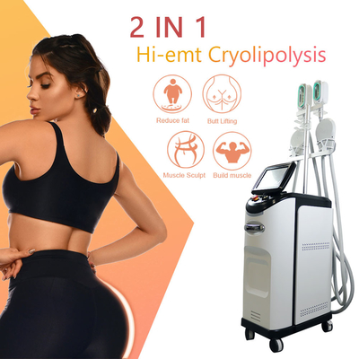 Remoção de congelação gorda das celulites de Cryo da máquina 360 de Cryolipolyse EMS