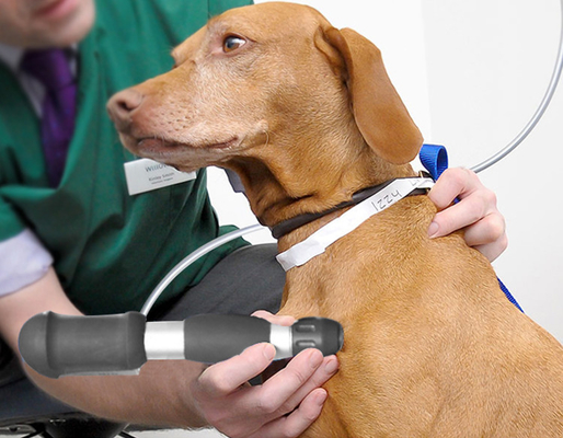 Quiropraxia Veterinária & Animal ESWT Máquina Massagista de Ondas Acústicas