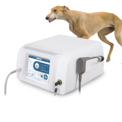 Dispositivo veterinário de alívio de dor pneumático de ondas de choque Máquina de terapia de ondas de choque