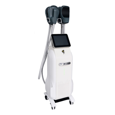 Novo Massagista Vibrante de Corpo Máquina de Emagrecimento de Corpo RF 14 Máquina de Esculpção Tesla Ems