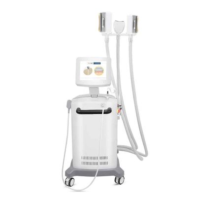 4 seguram a máquina do emagrecimento de Cryolipolysis