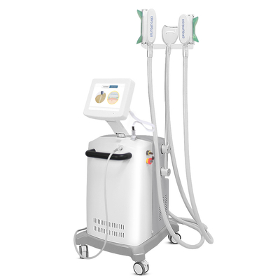 Barriga que queima a máquina eficiente alta do emagrecimento de Cryolipolysis