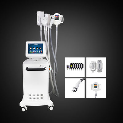 Máquina gorda da redução da barriga da máquina do emagrecimento de Cryolipolysis de 5 punhos