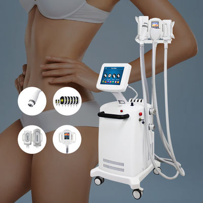 5 na máquina gorda do emagrecimento do gelo de Cryolipolysis da perda de 1 peso