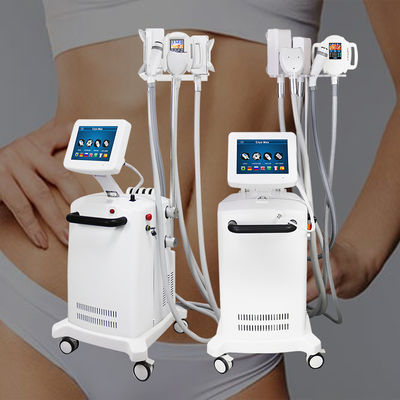 Máquina de derretimento gorda de Cryolipolysis 360 graus