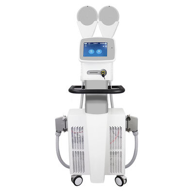 Máquina elétrica do Stimulator do músculo de 2 punhos para a redução gorda